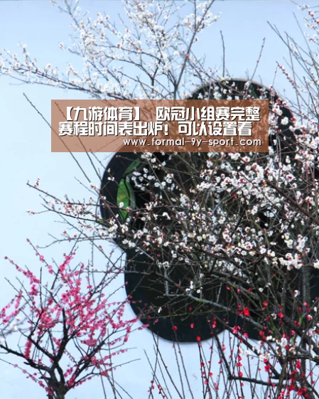 九游体育